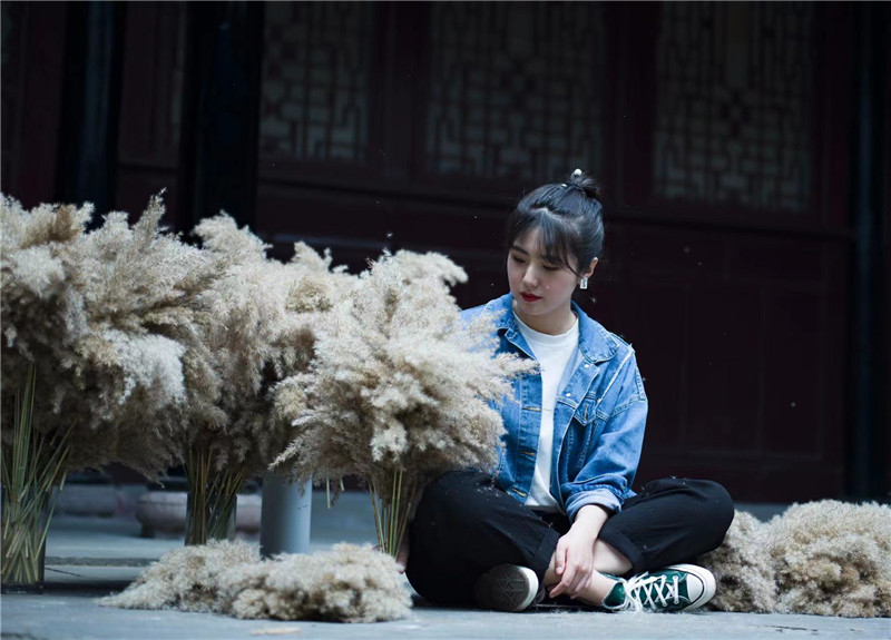 朱迪：滿園千般色，只取一點紅
